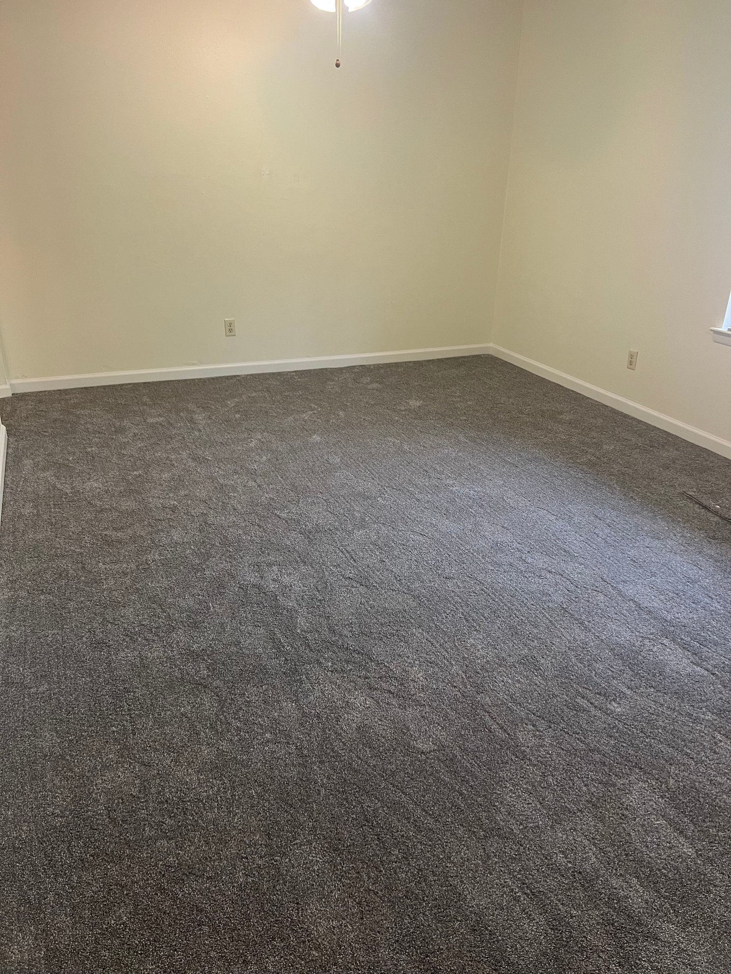Master bedroom carpet flooring installation featuring soft gray plush carpet with natural lighting and window views